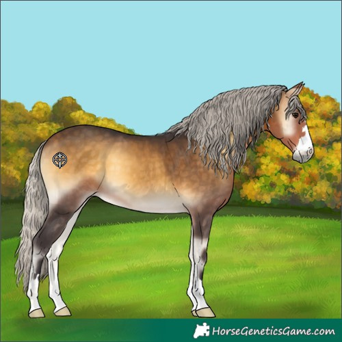 Horse Color:Silver Buckskin Onyx 