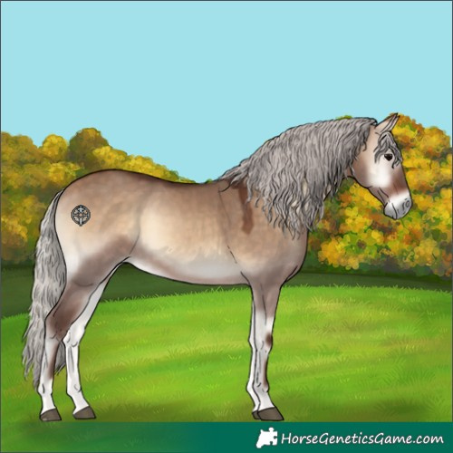Horse Color:Silver Bay Onyx 
