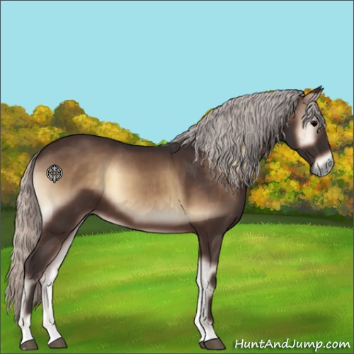 Horse Color:Silver Brown Onyx 