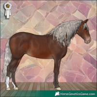 Horse Color:Silver Brown Appaloosa 