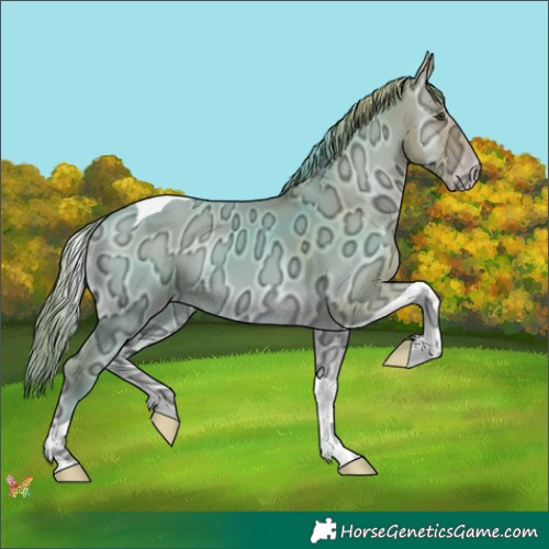 Horse Color:Watercolor Gold Champagne Ice Onyx Tobiano 