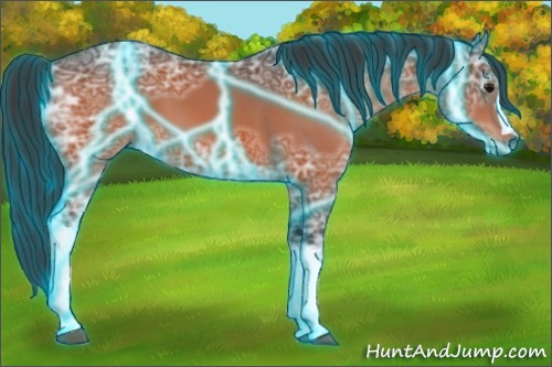 Horse Color:Thunderstruck Bay Ice 