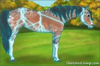 Horse Color:Thunderstruck Bay Ice 
