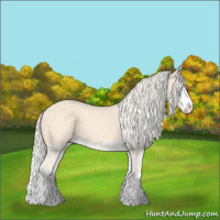 Horse Color:Cremello Splash  and Cremello Splash 