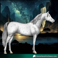 Horse Color:Brown Sabino