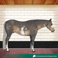 Horse Color:Silver Smoky Black Sabino 