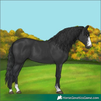 Horse Color:Black Sabino