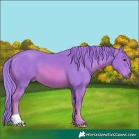 Horse Color:Watercolor Chestnut 
