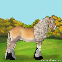 Horse Color:Void Palomino Onyx Tobiano 