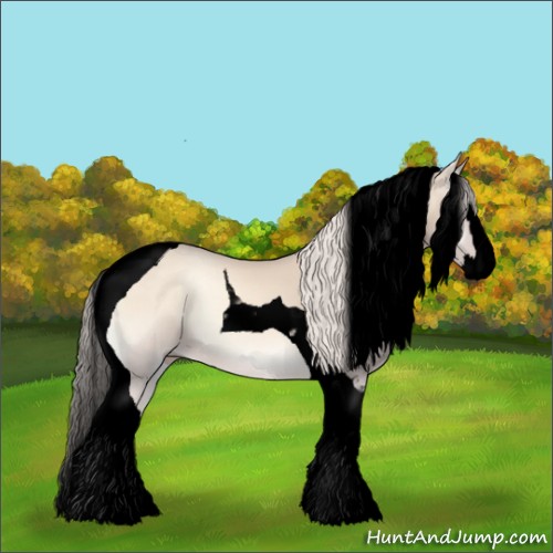 Horse Color:Void Cremello Onyx Splash Tobiano
