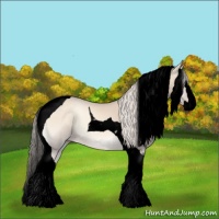 Horse Color:Void Cremello Onyx Splash Tobiano