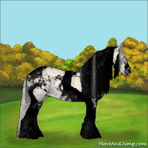 Horse Color:Void Cremello Onyx Tobiano 