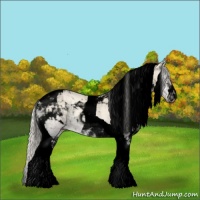 Horse Color:Void Cremello Onyx Tobiano 