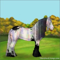 Horse Color:Void Nacre Cremello Tobiano 