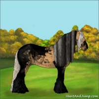 Horse Color:Void Palomino Tobiano 