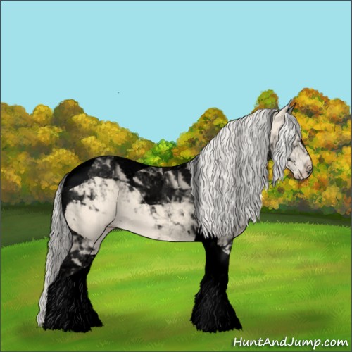 Horse Color:Void Cremello Tobiano 