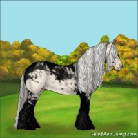 Horse Color:Void Cremello Tobiano