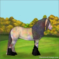 Horse Color:Void Nacre Buckskin Onyx Tobiano