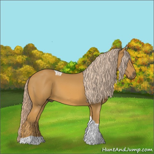 Horse Color:Palomino Tobiano 