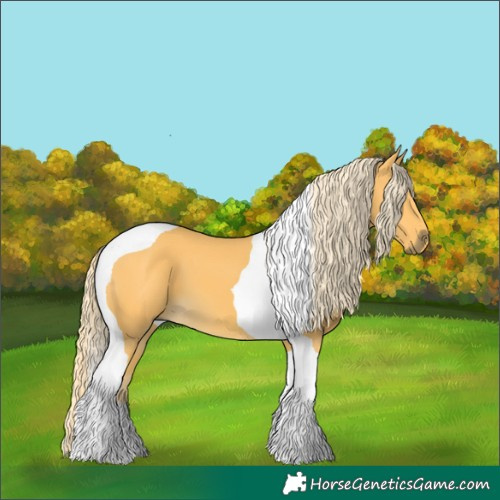 Horse Color:Palomino Tobiano 