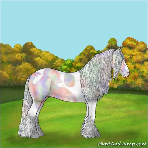 Horse Color:Nacre Cremello Onyx Tobiano
