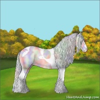 Horse Color:Nacre Cremello Onyx Tobiano 