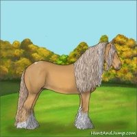Horse Color:Palomino Tobiano 