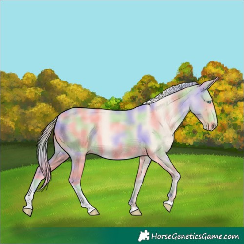 Horse Color:Nacre Cremello Tobiano 