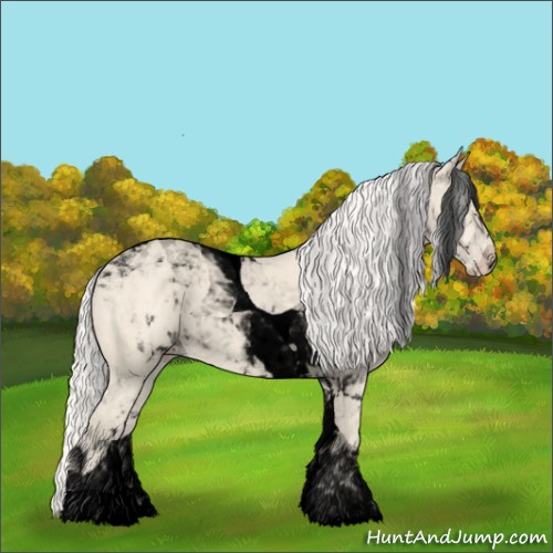 Horse Color:Void Cremello Tobiano 