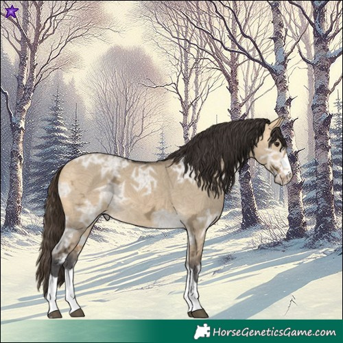 Horse Color:Buckskin Ice Dun 