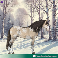 Horse Color:Buckskin Ice Dun 