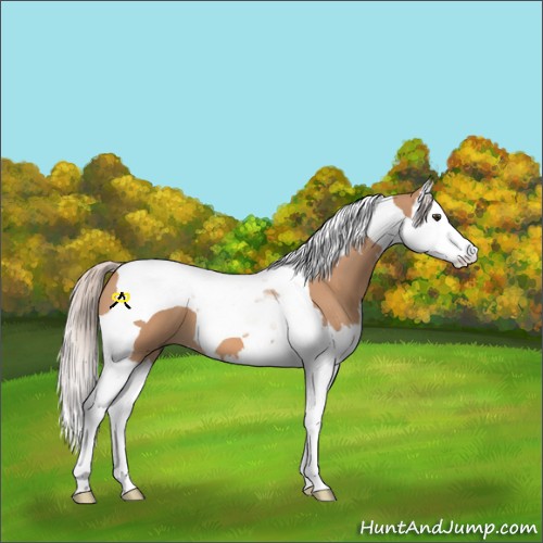 Horse Color:Silver Brown Dun Splash Tobiano