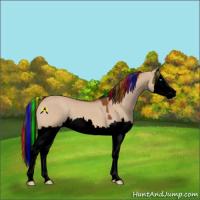 Horse Color:Void Painted Bay Dun Splash 