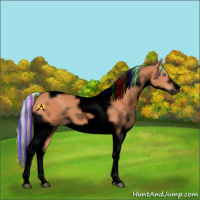 Horse Color:Void Painted Silver Bay Splash Tobiano Frame 