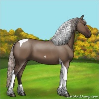 Horse Color:Silver Brown Dun Tobiano