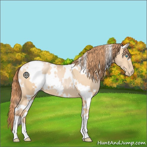 Horse Color:White Spotted Buckskin Pearl 