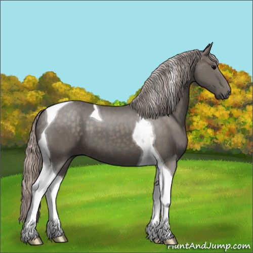 Horse Color:Silver Black Tobiano