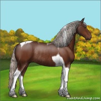 Horse Color:Silver Brown Tobiano Rabicano