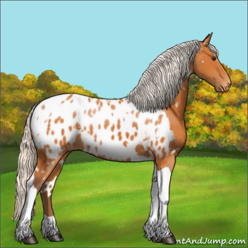 Horse Color:White Spotted Silver Buckskin Tobiano Near Leopard Rabicano 