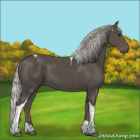 Horse Color:Silver Black Tobiano 