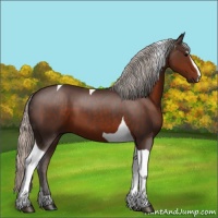 Horse Color:Silver Brown Sabino Tobiano