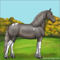 Horse Color:Silver Black Tobiano 