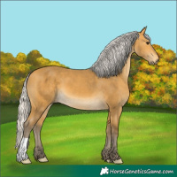 Horse Color:Silver Buckskin 