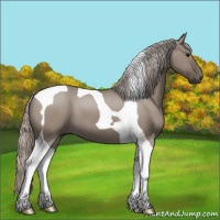 Horse Color:Silver Grullo Tobiano