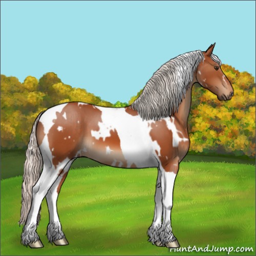 Horse Color:White Spotted Silver Brown Tobiano 