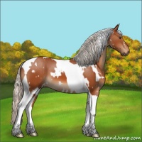 Horse Color:White Spotted Silver Brown Tobiano