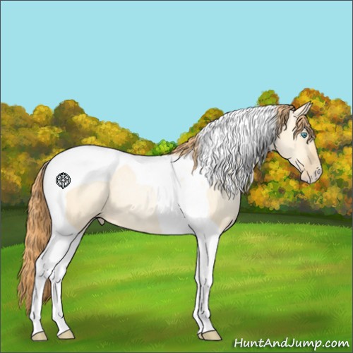 Horse Color:Buckskin Pearl Dun Tobiano 
