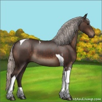 Horse Color:Silver Brown Tobiano 