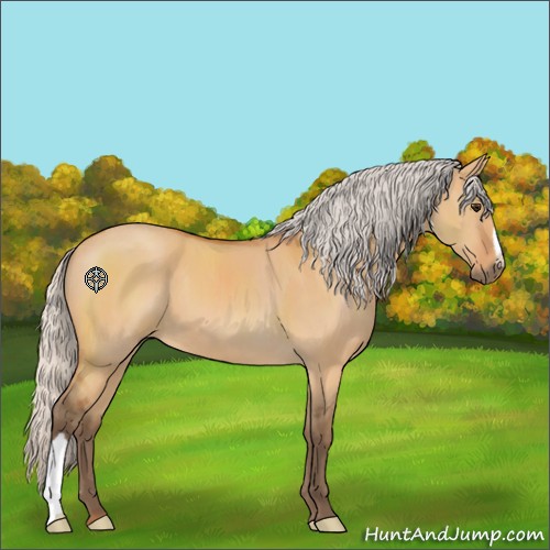 Horse Color:Silver Bay Dun 