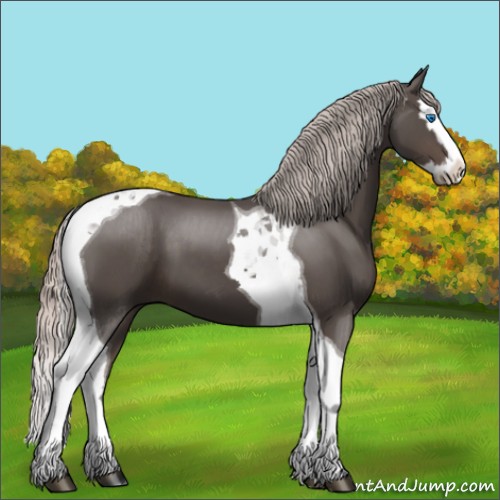 Horse Color:Silver Black Splash Tobiano